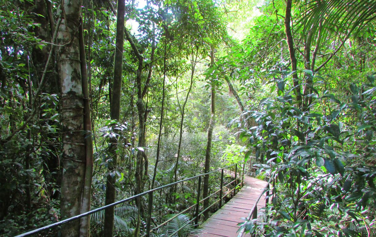 Trilha Suspensa - foto: Helena Sobreira